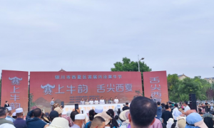 西夏区端午“牛”礼 奶润少年活动火热进行中，消费热潮持续升温