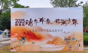 西夏区“端午‘牛’礼 奶润少年”农产品促销售活动圆满收官